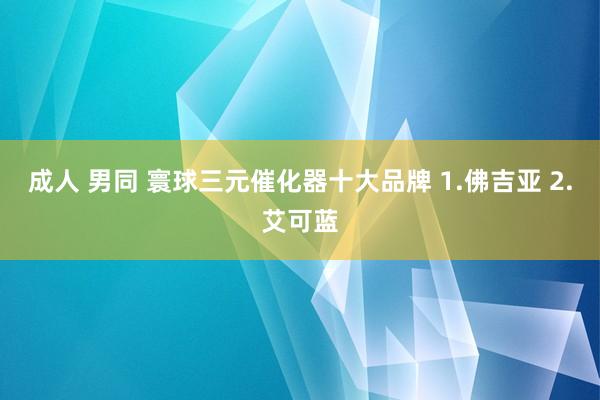 成人 男同 寰球三元催化器十大品牌 1.佛吉亚 2.艾可蓝