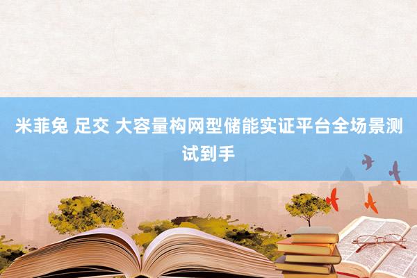 米菲兔 足交 大容量构网型储能实证平台全场景测试到手