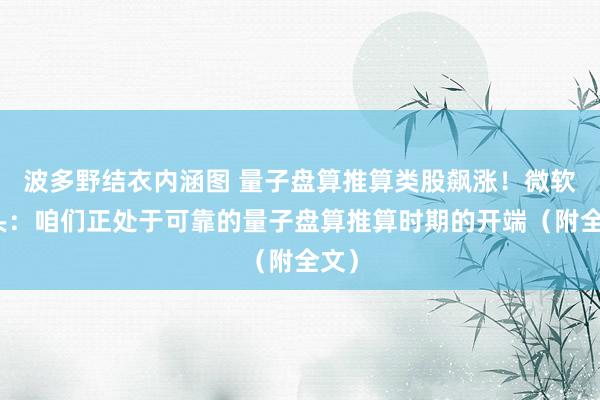 波多野结衣内涵图 量子盘算推算类股飙涨！微软开头：咱们正处于可靠的量子盘算推算时期的开端（附全文）
