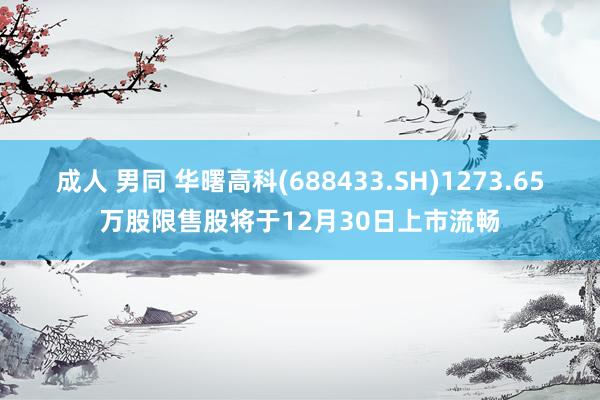 成人 男同 华曙高科(688433.SH)1273.65万股限售股将于12月30日上市流畅