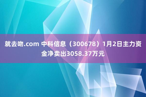 就去吻.com 中科信息（300678）1月2日主力资金净卖出3058.37万元