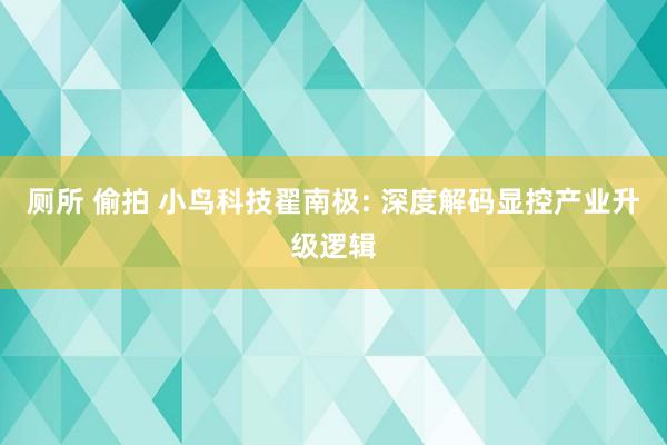 厕所 偷拍 小鸟科技翟南极: 深度解码显控产业升级逻辑