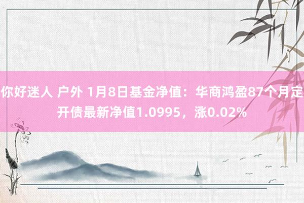 你好迷人 户外 1月8日基金净值：华商鸿盈87个月定开债最新净值1.0995，涨0.02%