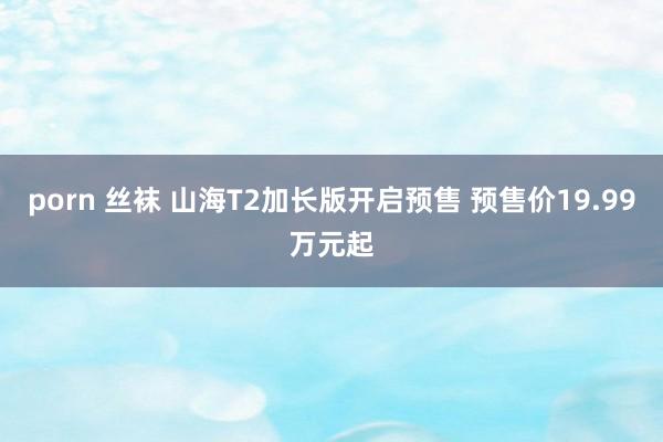 porn 丝袜 山海T2加长版开启预售 预售价19.99万元起
